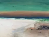 Margot Gawith, Beach Shoreline with Seagulls, oil on canvas