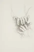 Woven Hands by Judith Mason, photolithograph on paper, sold Jun 2025