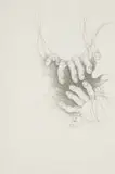 Judith Mason, Woven Hands, photolithograph on paper