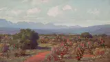 Jan Ernst Abraham Volschenk, The Charms of the Veld (Riversdale)