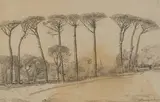 Jacobus Hendrik Pierneef, Landscape with Trees, Wynberg, charcoal on paper