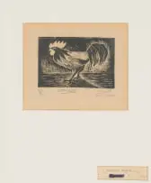 Peter Clarke, Cockerel, Perspex engraving on paper
