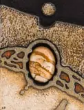 Kenneth Bakker, Composition with Jasper, mixed media and assemblage
