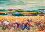 Hennie Niemann Snr, Harvesters