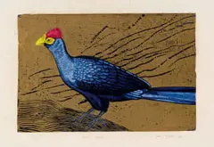 John Moore, Ross's Lourie, colour linocut on paper