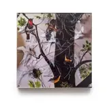 Barbara Wildenboer, Birds, photographic print on paper