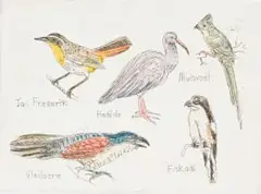 Claudette Schreuders, My Voels I, hand-coloured etching on paper