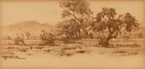 Otto Klar, Bushveld Landscape, coloured pencil on paper