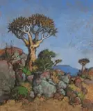Conrad Theys, Namaqualand, Giant Quiver Tree (Reuse Kokerboom)