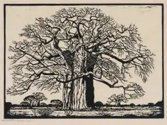 Jacobus Hendrik Pierneef, Kremetartboom (Nilant 73) (Baobab), linocut on paper