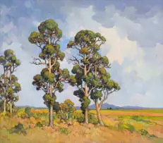 Conrad Theys, Bluegum Trees, Swartland, oil on canvas