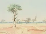 Willem Hermanus Coetzer, Bosveld 9 (Bushveld)
