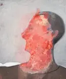 Meyer Uranovsky, Abstract Side Profile, oil on canvas