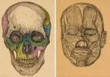 Olaf Bisschoff, Inside 1; Inside 2, two, etching with hand colouring and etching on found paper