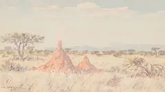 Herbert Diener, Anthill in Kalkfeld SWA, watercolour on paper