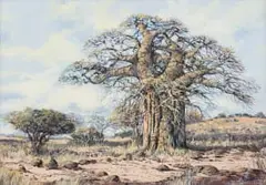 Francois Badenhorst, Baobab, acrylic on canvas laid down on board