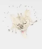 Judith Mason, Muse Amused, 2006, four colour lithograph on paper
