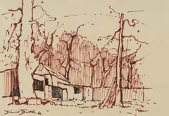 David Botha, Cottage and Trees, ink on paper