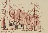 David Botha, Cottage and Trees, ink on paper