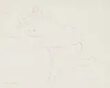 Maurice van Essche, Reclining Nude, pen on paper