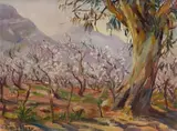 Emily Isabel Fern, Pear Blossoms, oil on board