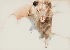 Keith Joubert, Lion, watercolour and ink on paper