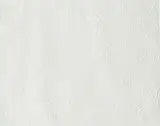 Elephant by Walter Battiss, blind embossing on paper, sold Apr 2025
