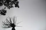 Hazel Mphande, Sun in your Eyes, archival pigment on Felix Schoeller True Fibre mounted on foamcore