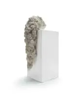 Frances Goodman, Below the Belt, 2012, acrylic nails, glue and polyurethane