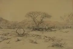 Jacobus Hendrik Pierneef, Swakoprivier, Suid Wes Afrika, charcoal and conté on paper