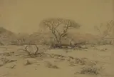 Jacobus Hendrik Pierneef, Swakoprivier, Suid Wes Afrika, charcoal and conté on paper