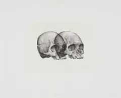 Gerhard Marx, Binocular Skull I, hardground etching on zerkall intaglio paper