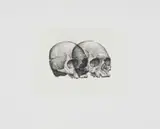 Gerhard Marx, Binocular Skull I, hardground etching on zerkall intaglio paper