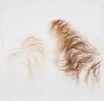 Nandipha Mntambo, Quiet Acts of Affection (A), 2012, cow tail on cotton paper
