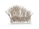Walter Oltmann, Larva II, stainless steel bird proofing and aluminium wire