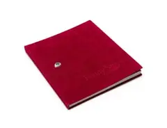 Penny Siopis, Penny Siopis, 2007, artist's book with velvet cover
