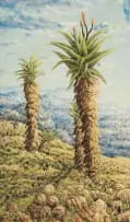 Helen Sebidi, The Aloes, near Hebron, TVL, oil on board