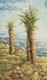 Helen Sebidi, The Aloes, near Hebron, TVL
