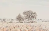 Herbert Diener, Arid Landscape with Trees, Namibia, watercolour on paper