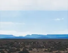 Daan Vermeulen, Karoo, oil on canvas