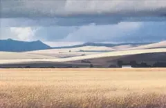 Daan Vermeulen, Fields of Gold, oil on canvas