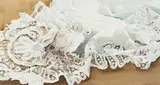 Leigh Voigt, Dove on a Lace Cloth