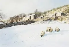 Alistair Butt, Winter Carpet, watercolour on card
