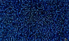 Matthew Ainsworth, Genesis, mixed media on canvas