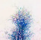 Lehlogonolo Mashaba Masoabi, Branch Out, mixed media on paper