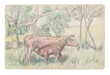 Moses Tladi, Landscape with Cow and Nursing Calf, coloured pencil on card
