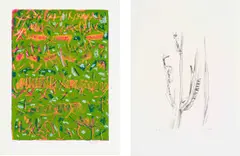 Thijs Nel, Abstract in Green; Botanical Study, two, colour screenprint on paper and lithograph on paper