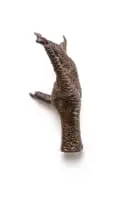 Sarel Petrus, Chicken Foot II, bronze with a brown patina