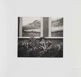 Nicole Clare Fraser, Untitled, photogravure on Zerkall Intaglio 250gsm paper
