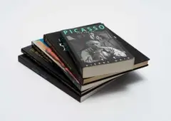 Various Authors, Picasso, five